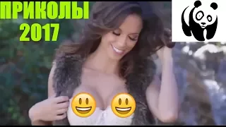 Лучшие приколы 2017 от Jokes Collection - Свадьба в России и Кибергопник - Подборка лучших приколов