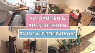 XXL Vlog l Säulenobst für den Balkon?! l Mama Alltag & ganz viel aufräumen l Big Mary