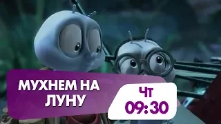 "Мухнем на Луну" завтра в 9:30 на НТК