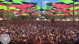 Lifeforms @ Sonoora Festival 2017 / Brazil