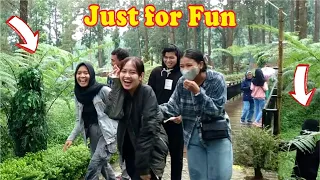 Bushman prank and Monkey prank hillarious || Tertawa sampai puas