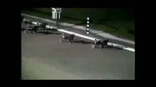 1988 Yonkers Raceway BIG ARROW Ben Steall 3 Year Old Open