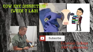 A&P 1 Lab (Cow Eye Dissection)|| Week 7