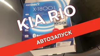 Сигнализация с автозапуском на Kia Rio