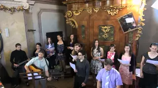 Zář tváře Tvé, Svatba Šmehly a Míši, NŘ schola, 6. 6. 2015