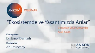 “Ekosistemde ve Yaşantımızda Arılar" | Dr. Emel Damarlı