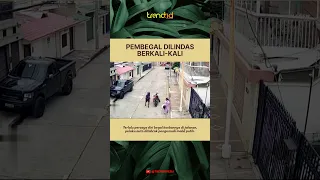 PEMBEGAL DILINDAS BERKALI-KALI