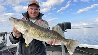 Big Walleyes with Soft Plastics