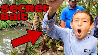 Catching Mangroves Tuna Fishing in Hawaii | Coconut Cake Pick and Eat