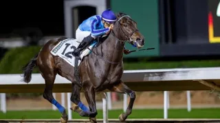 Saudi horse racing Frusiya at king abdulaziz race track