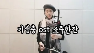 기생충 OST : 소주한잔 정재일 해금 / Parasite OST : a glass of soju haegeum cover 🍺