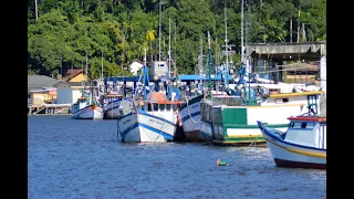 TRAVESSIA DE BALSA DE ILHA COMPRIDA PARA CANANÉIA