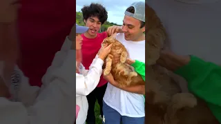 SURPRISING MY TWIN WITH HIS DREAM PET!!