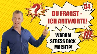 Warum Stress dick macht, Fettverbrennung erst ab 30 Minuten? DU FRAGST, ICH ANTWORTE! - Nr. 54