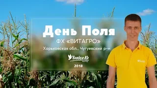 День Поля 2018 | Харьковская область |  фермерское хозяйство "ВИТАГРО"