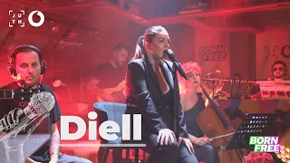 Fifi - Diell | A•Live•Night - 4K