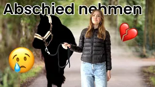 WIR HABEN EIN PONY VERKAUFT!😔