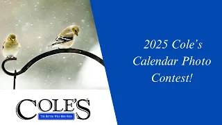 Cole's Live Show 5/1/2024 Calendar Contest Announcement 2025