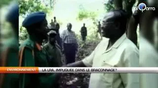 La LRA, impliquée dans le braconnage ?