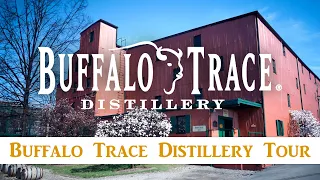 EXCLUSIVE Buffalo Trace Distillery Tour (Part 1)