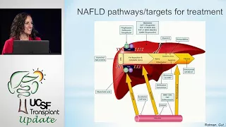 Fatty Liver Disease: New Therapeutics