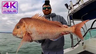 OUR SNAPPER FISHING LOGIC - STEP BY STEP!