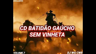 CD BATIDÃO GAÚCHO SEM VINHETA VOLUME.7 DJ WG CWB