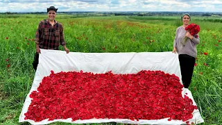 Time To Collect Poppy Seeds And Make Delicious Jam From Them! Country Life