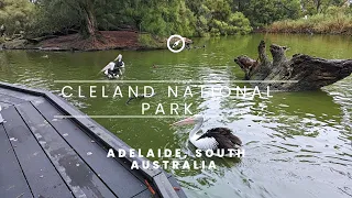 Cleland national park Adelaide South Australia walking tour in 4k