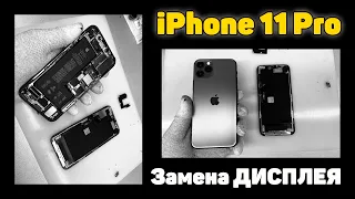 iPhone 11 Pro - Замена ДИСПЛЕЯ