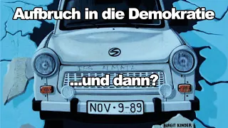 Aufbruch in die Demokratie...und dann?