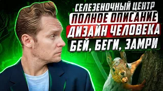 СЕЛЕЗЁНОЧНЫЙ ЦЕНТР В ДИЗАЙНЕ ЧЕЛОВЕКА | ОТКУДА БЕРУТСЯ МОИ СТРАХИ!?