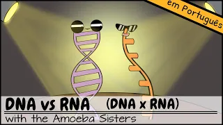 DNA x RNA