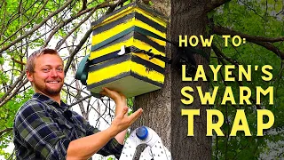 How To Hang a Swarm Trap | Catch Wild Honey Bees