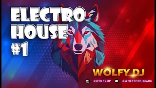 Electro House Clásico Mix - #1 - Wolfy DJ      #2010 #2011 #2022