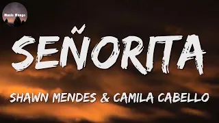 🎶 Shawn Mendes, Camila Cabello - Señorita || Kali Uchis, NewJeans, Céline Dion (Mix)