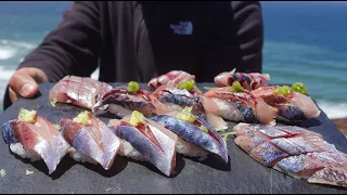 EATING PRACTICALLY LIVE SQUID + Catch And Sushi Mackerel
