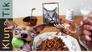 EATING ANIMAL FOOD  |#52 KLUNATIK COMPILATION    ASMR eating sounds no talk