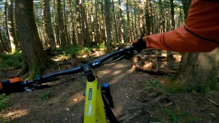 NOTG trail at Tiger Mountain - Issaquah
