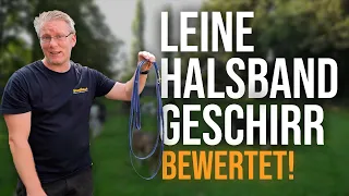 Das sind die BESTEN Halsbänder, Leinen und co. 🐶 Hundetrainer erklärt! -   TGH 436