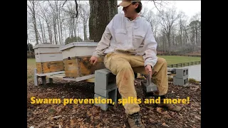 2024 Beekeeping season has begun! (Swarm prevention, splits, and more)