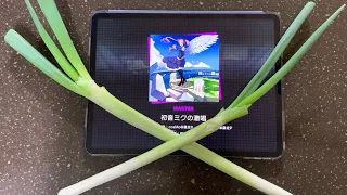 【Project Sekai】 Playing The Intense Voice Of Hatsune Miku with green onion