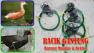 Jual Racik Gantung Perangkap Mandar Belibis | Waterhen Bird Trap for Sale