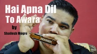 Hai Apna Dil To Awara | Harmonica Cover | Shailesh Mogre