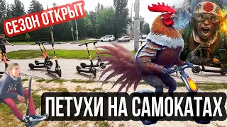 ПОЧЕМУ ВСЕ НЕНАВИДЯТ ЭЛЕКТРОСАМОКАТЫ