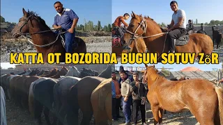 Yangiqõrģon tumani Begabod ot bozori bugungi narhlari 23.09.2023yil Admin +99833.781.14.04