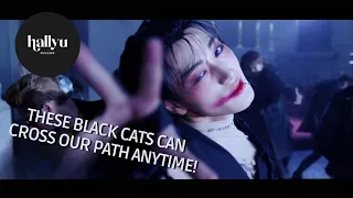 ATEEZ "The Black Cat Nero" Halloween Performance Video Reaction
