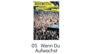 05   Wenn Du Aufwachst - Rosenstolz Willkommen in unserer Welt Live & Draussen 04