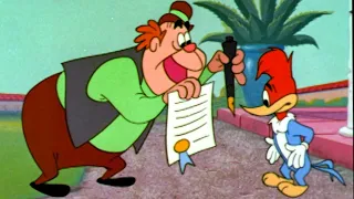 Woody's BIllion Dollar Test | 1 Hour of Classic Woody Woodpecker | Woody Woodpecker