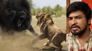 Unbelievable 20 SuperPowers that Animals Have | Tamil | Madan Gowri | MG